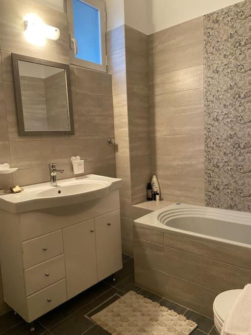 Ds Apartment Athen